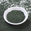 MIYUKI Round Rocailles Beads SEED-G007-RR0501-2