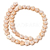 Dyed Natural Freshwater Shell Beads Strands SHEL-A006-03B-2