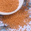 MIYUKI Round Rocailles Beads SEED-X0054-RR0423-1