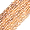 Natural Cultured Freshwater Pearl Beads Strands PEAR-L034-09B-2
