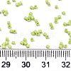 FGB 11/0 Grade A Glass Seed Beads X-SEED-S030-1013-4