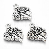 Tibetan Style Alloy Charms TIBE-S323-049AS-RS-1