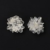 Transparent Resin Cabochons RESI-G027-01A-4