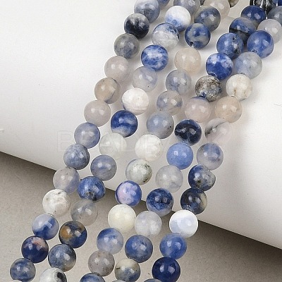 Natural Sodalite Round Bead Strands G-E334-4mm-08-1