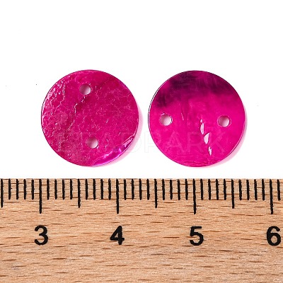 Spray Painted Natural Akoya Shell Connector Charms BSHE-S304-17B-1