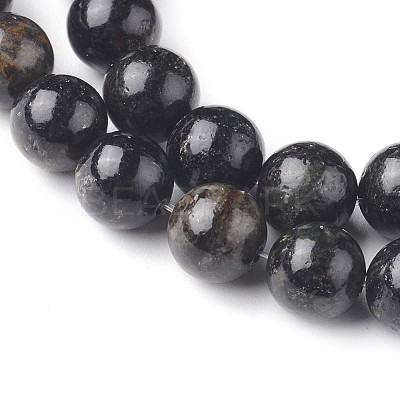 Natural Biotite Beads Strands G-L528-06C-1