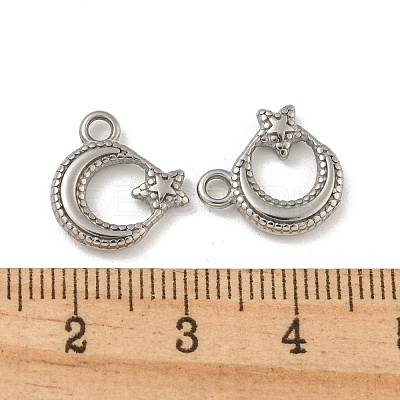 Non-Tarnish 304 Stainless Steel Charms STAS-N103-124P-1