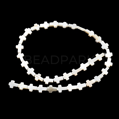 Natural Freshwater Shell Beads Strands BSHE-G034-26-1