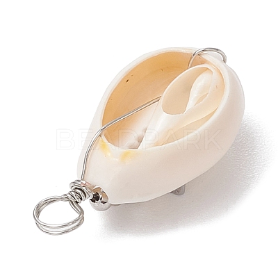 6Pcs 6 Styles Natural Cowrie Shell Copper Wire Wrapped Star & Heart & Round Pendants PALLOY-JF02938-1