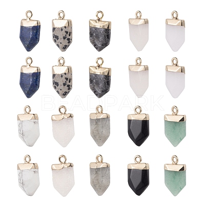 10Pcs 10 Style Natural Gemstone Pointed Pendants G-LS0002-04-1
