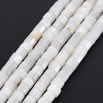 Natural Freshwater Shell Beads Strands X-SHEL-N027-09-1