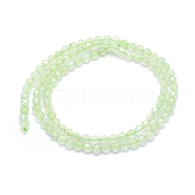 Natural Prehnite Beads Strands G-E411-25-4mm-1