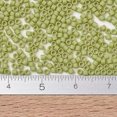 MIYUKI Delica Beads X-SEED-J020-DB2290-1