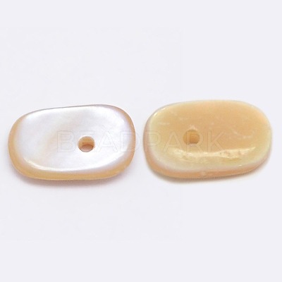 Dyed Natural Freshwater Shell Chips Beads SHEL-A003-D02-1