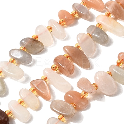 Natural Moonstone Beads Strands G-Z091-A14-1