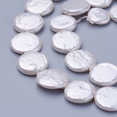 Shell Pearl Beads Strands X-BSHE-P030-01B-1