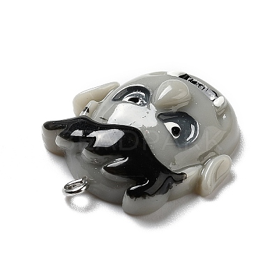 Halloween Opaque Resin Pendants X-RESI-B011-06-1