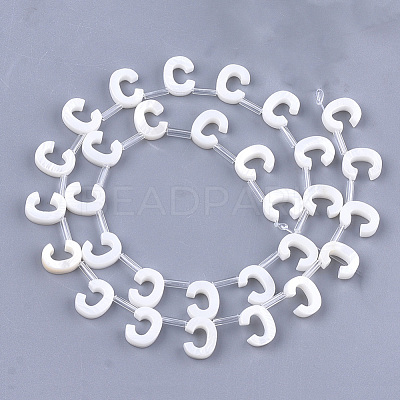 Freshwater Shell Beads X-SHEL-T012-59C-1