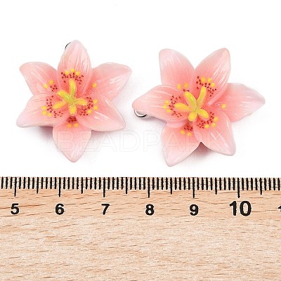 Opaque Resin Pendants CRES-D328-04E-1