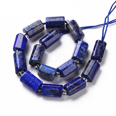Natural Lapis Lazuli Beads Strands G-S345-8x11-002-1