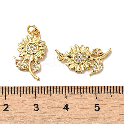 Rack Plating Brass Micro Pave Cubic Zirconia Pendants LS-KK-K377-60G-1