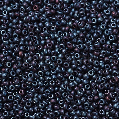 MIYUKI Round Rocailles Beads X-SEED-G007-RR2009-1