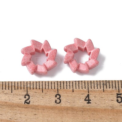 Natural Rainbow Alashan Agate European Beads G-G194-06E-1