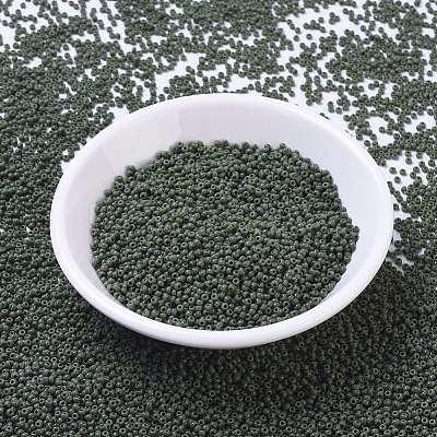 MIYUKI Round Rocailles Beads SEED-G007-RR0501-1