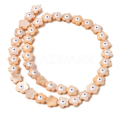 Dyed Natural Freshwater Shell Beads Strands SHEL-A006-03B-1