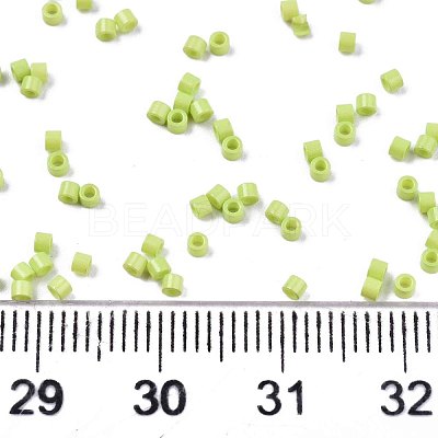 FGB 11/0 Grade A Glass Seed Beads X-SEED-S030-1013-1