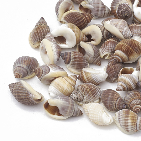 Sea Shell Beads SSHEL-S258-02-1