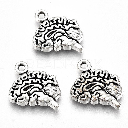 Tibetan Style Alloy Charms TIBE-S323-049AS-RS-1