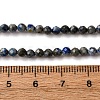 Natural Lapis Lazuli Beads Strands G-L629-B01-3mm-04-6