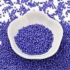 Baking Paint Glass Seed Beads X-SEED-S042-05B-74-2