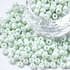 6/0 Glass Seed Beads SEED-S058-A-F408-1