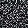 6/0 Glass Seed Beads SEED-L011-08A-10-3