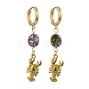 Ocean 304 Stainless Steel and Paua Shell Dangle Earrings EJEW-JE07109-01-3