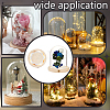 Glass Dome Cover AJEW-WH0752-088B-5