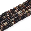 Natural Biotite Beads Strands G-T140-69B-4