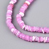 Natural Trochid Shell/Trochus Shell Beads Strands SSHEL-N040-21E-3