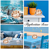Shell Shaped Wooden Sea Shell Storage Display Cases with Visible Window ODIS-WH20012-01-4