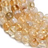 Heated Natural Citrine Beads Strands G-C293-A03-8mm-3