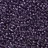 TOHO 11/0 Round Beads X-SEED-TR11-0019-2