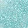 MIYUKI Round Rocailles Beads SEED-G008-RR3638-3