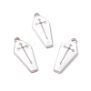 Alloy Enamel Pendants ENAM-H039-10P-4