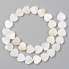 Natural Freshwater Shell Beads Strands X-SHEL-S276-87-2
