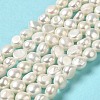 Natural Cultured Freshwater Pearl Beads Strands PEAR-E017-04-2