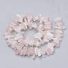 Natural Rose Quartz Beads Strands G-S338-17-2