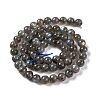 Grade AA Natural Gemstone Labradorite Round Beads Strands G-E251-33-6mm-01-5