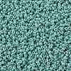 MIYUKI Round Rocailles Beads SEED-G007-RR0481-3